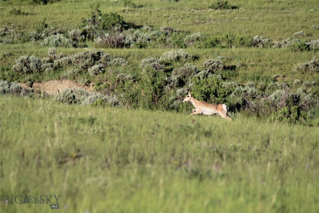 7916 Nitro Road, Other, WY 82646 photo 17