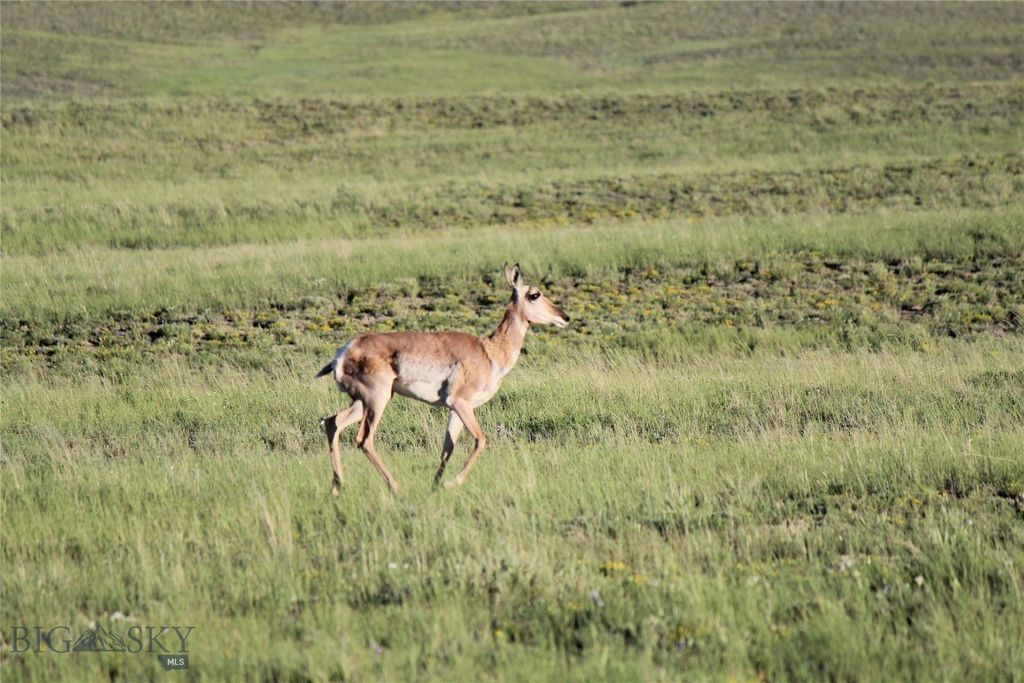 7916 Nitro Road, Other, WY 82646 photo 25
