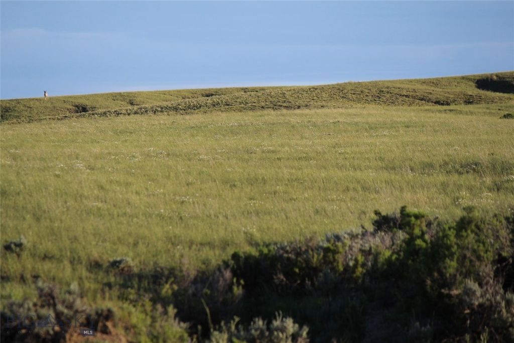 7916 Nitro Road, Other, WY 82646 photo 27