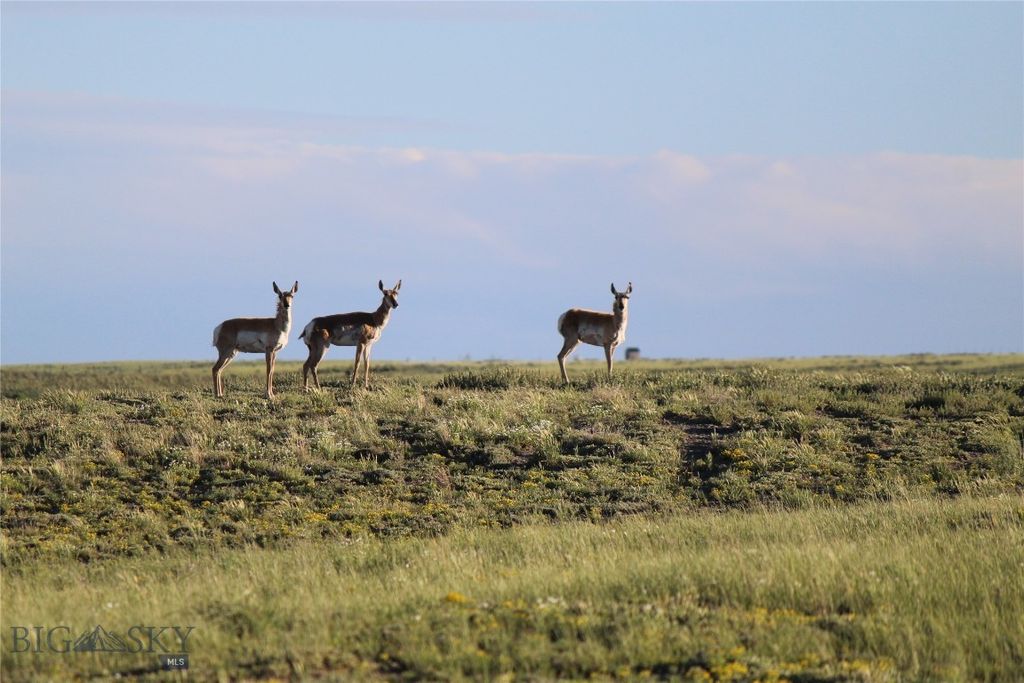 7916 Nitro Road, Other, WY 82646 photo 35