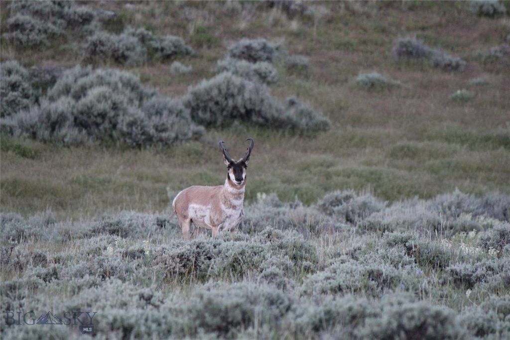 7916 Nitro Road, Other, WY 82646 photo 36