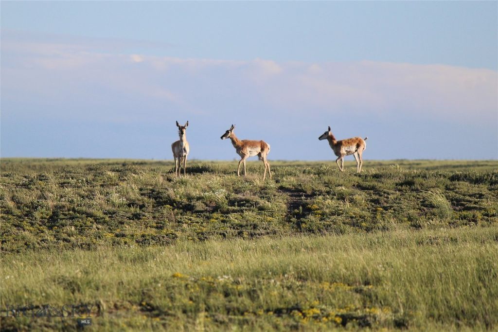 7916 Nitro Road, Other, WY 82646 photo 6