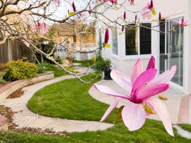 3289 Monte Verde Lane, San Jose, CA 95135