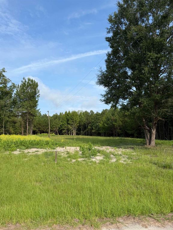 TBD Hayfield Rd., Georgetown, SC 29440 — exterior