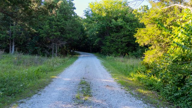 1807 Highway 32, Halfway, MO 65663