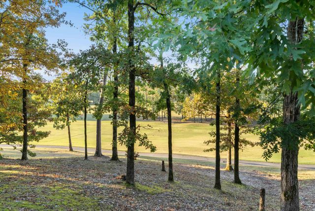 20 Charca Way, Hot Springs Village, AR 71909