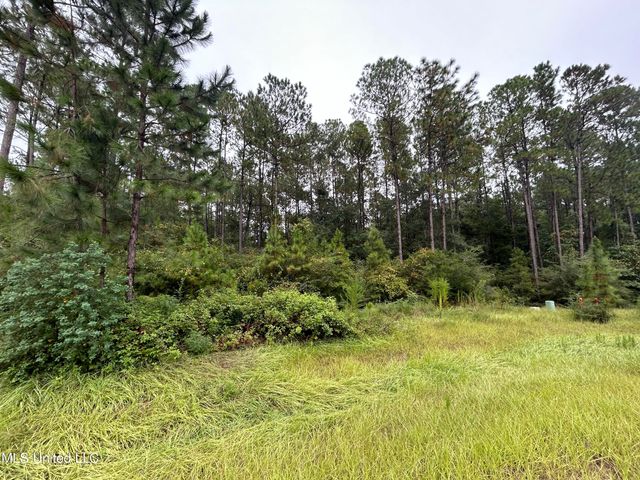 00 Sweet Birch Drive, Carriere, MS 39426