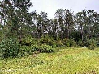 00 Sweet Birch Drive, Carriere, MS 39426