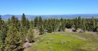 TBD 2138 P 2 Old White Bird Hill Rd, Grangeville, ID 83530