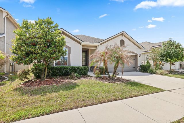 10733 PLANER PICKET DRIVE, Riverview, FL 33569