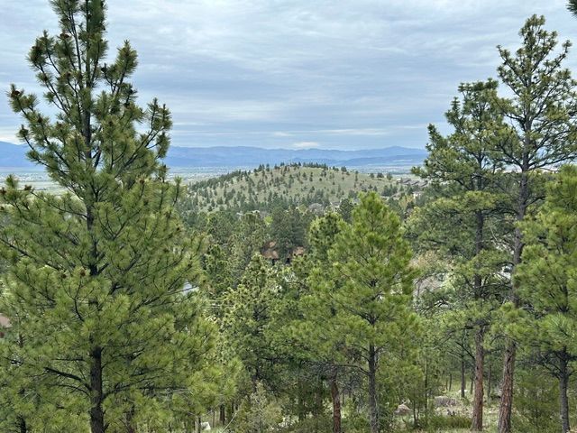 2511 Gold Rush Avenue, Helena, MT 59601