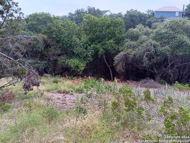 421 LEXINGTON PASS, Canyon Lake, TX 78133