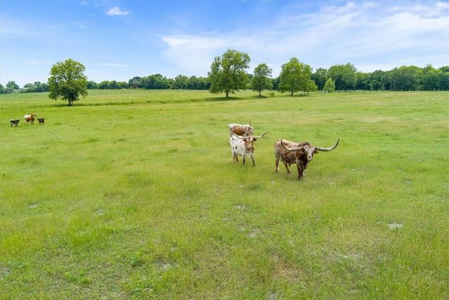 541 Lcr 131, Mount Calm, TX 76673