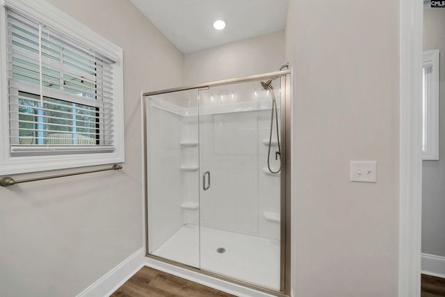 143 Collins Cove Drive, Chapin, SC 29036