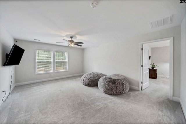 143 Collins Cove Drive, Chapin, SC 29036