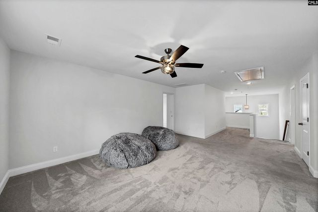 143 Collins Cove Drive, Chapin, SC 29036