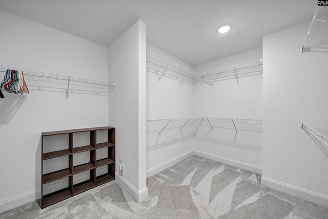 143 Collins Cove Drive, Chapin, SC 29036