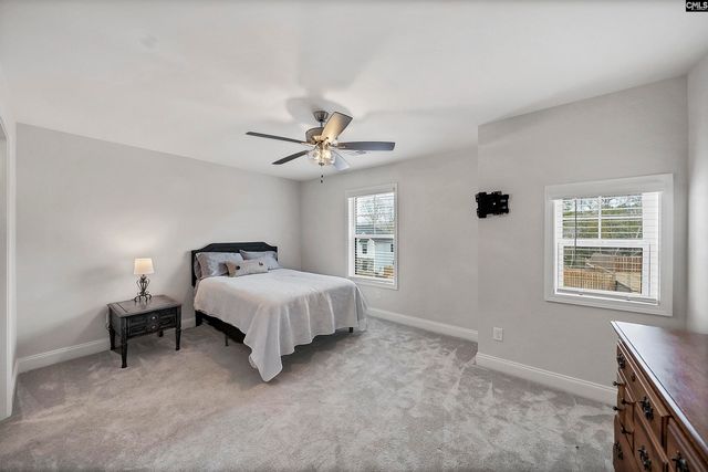 143 Collins Cove Drive, Chapin, SC 29036