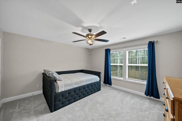 143 Collins Cove Drive, Chapin, SC 29036