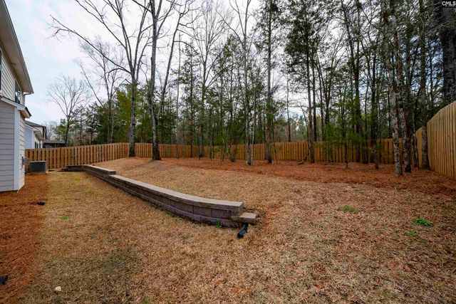143 Collins Cove Drive, Chapin, SC 29036