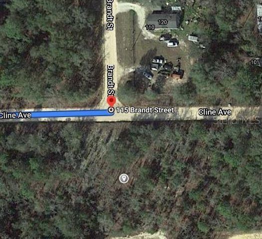 115 BRANCH AVENUE, Interlachen, FL 32148