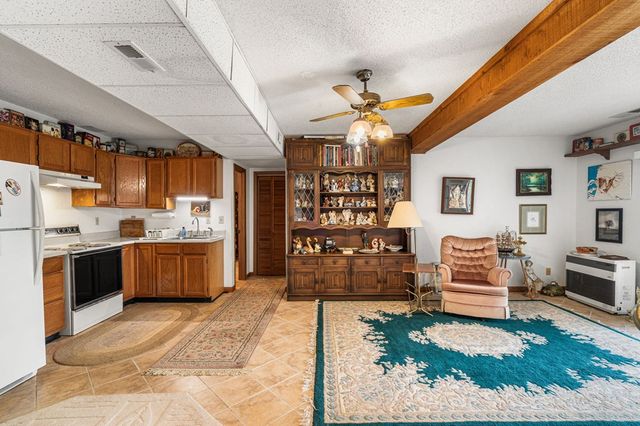 569 Sunnyside Shores, Hiawassee, GA 30546