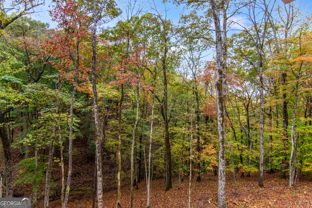 193 Noah Circle, Ellijay, GA 30540