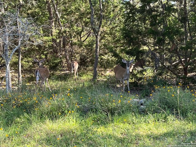 27246 & 27280 Kent Oaks, San Antonio, TX 78260