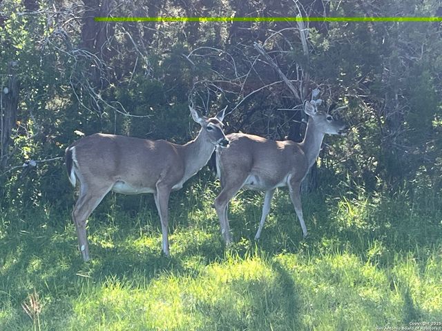 27246 & 27280 Kent Oaks, San Antonio, TX 78260