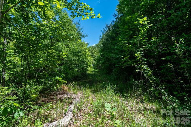 99999 Winding Ridge Road, Fairview, NC 28730