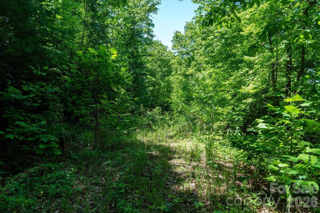 99999 Winding Ridge Road, Fairview, NC 28730