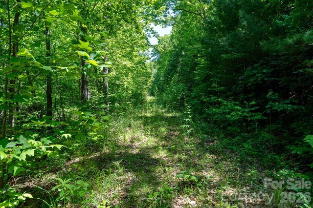 99999 Winding Ridge Road, Fairview, NC 28730