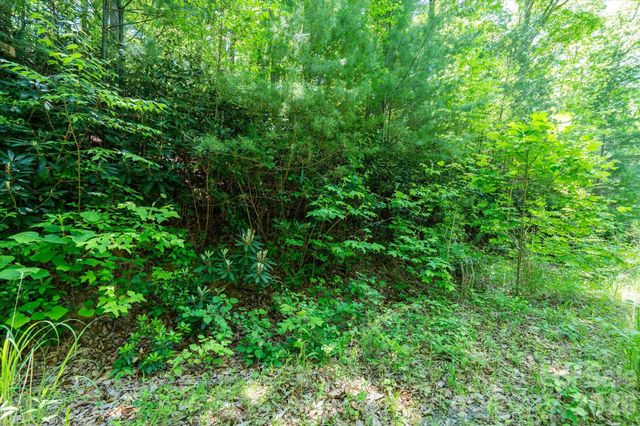 99999 Winding Ridge Road, Fairview, NC 28730