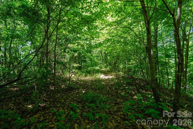 99999 Winding Ridge Road, Fairview, NC 28730