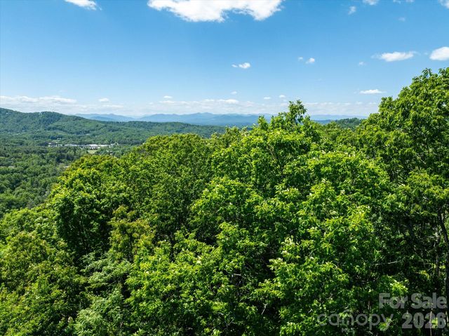 99999 Winding Ridge Road, Fairview, NC 28730