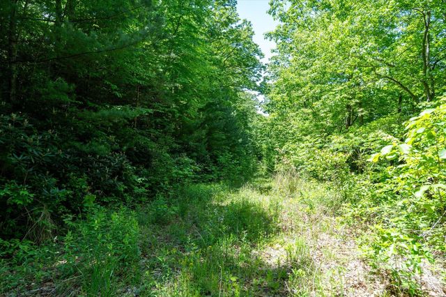 99999 Winding Ridge Road, Fairview, NC 28730