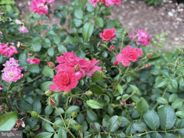 8-L SOUTHWAY, Greenbelt, MD 20770