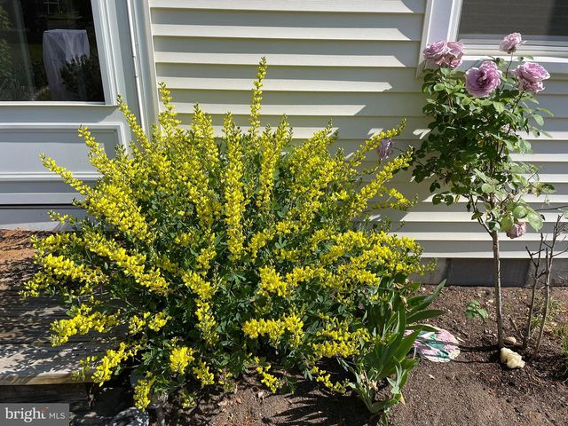 8-L SOUTHWAY, Greenbelt, MD 20770