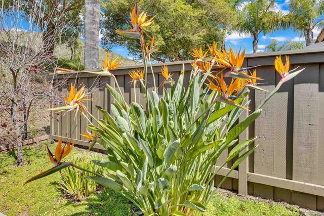 11604 Springside Rd, San Diego, CA 92128