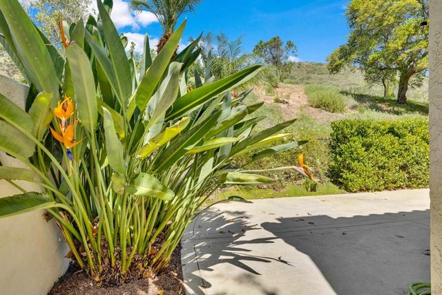 11604 Springside Rd, San Diego, CA 92128