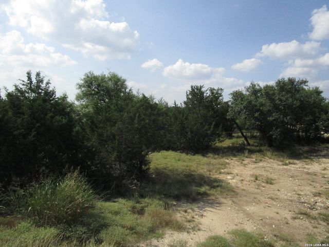 3246 Hawthorne, Spring Branch, TX 78070