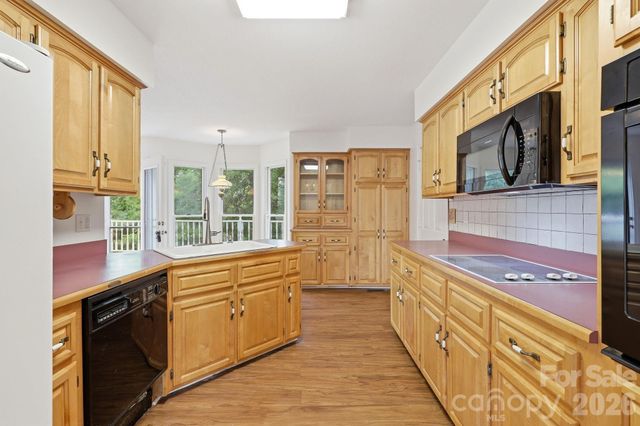 1091 WINDSWEPT RIDGE Road, Marshall, NC 28753