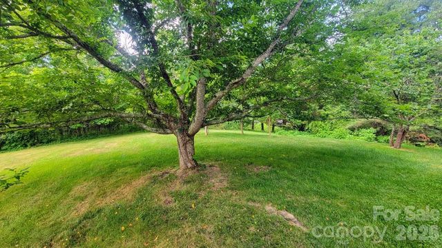 1091 WINDSWEPT RIDGE Road, Marshall, NC 28753