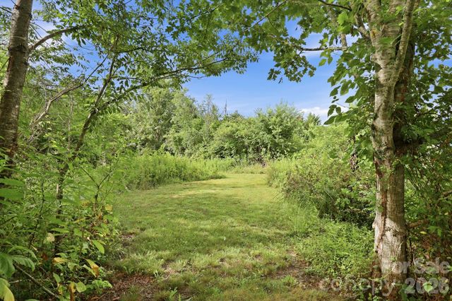 1091 WINDSWEPT RIDGE Road, Marshall, NC 28753