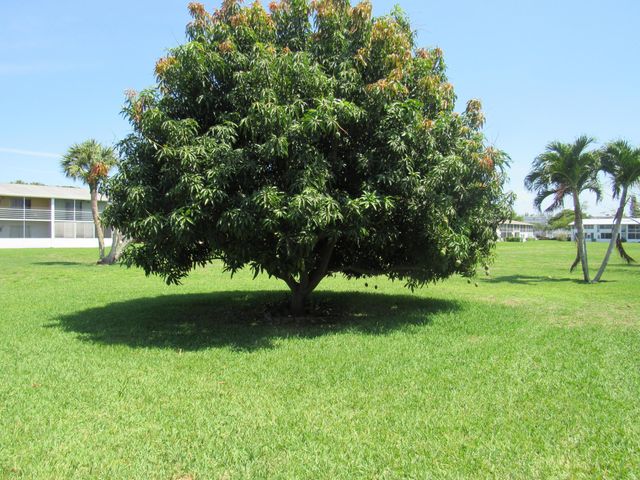 214 Berkshire K, West Palm Beach, FL 33417