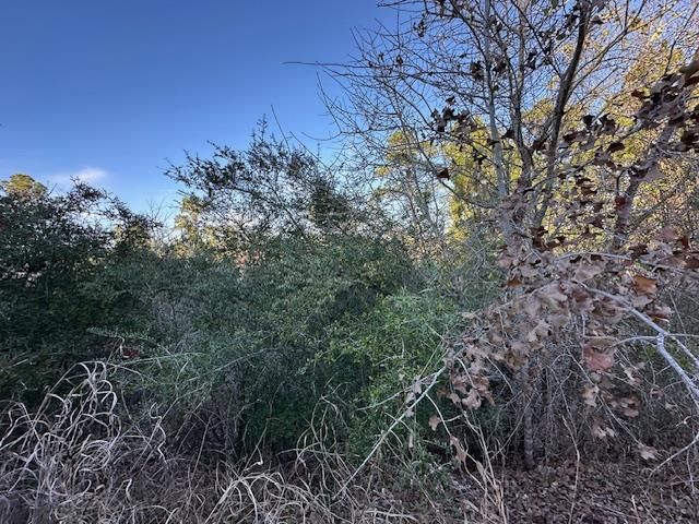 0 TBD Cedar DR, Granite Shoals, TX 78654