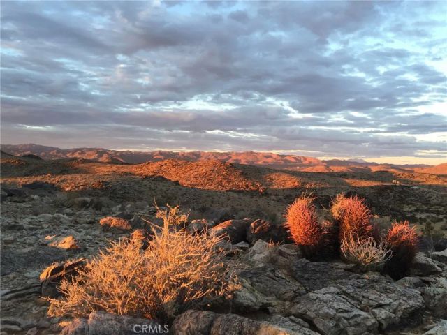 63465 Belmont Street, Joshua Tree, CA 92252