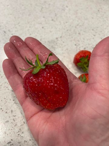 404 Lindilu Lane, Cave Junction, OR 97523