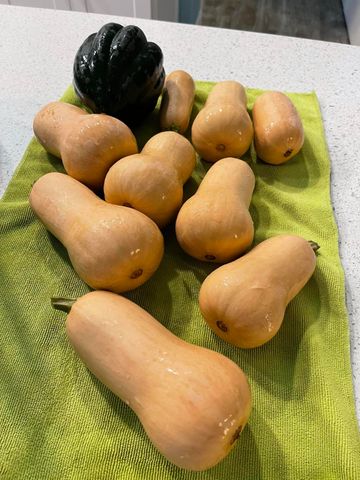 404 Lindilu Lane, Cave Junction, OR 97523