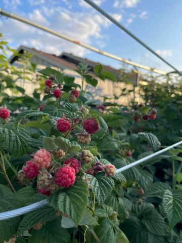 404 Lindilu Lane, Cave Junction, OR 97523